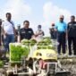 Ketua Kontak Tani Nelayan Andalan (KTNA) Jawa Timur yang juga Wakil Bupati Jombang, Sumrambah saat melakukan tanam perdana menggunakan transplanter di Desa Pacar Peluk,
