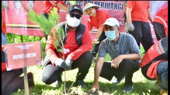 
					Bupati Gresik Fandi Akhmad Yani saat melakukan bibit pohon di Waduk Bunder, Mknggu (23/1/2022). (Foto: Istimewa)