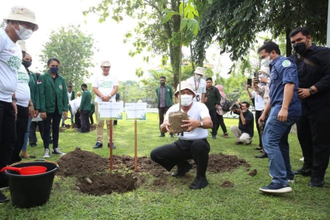 
					Menko PMK, Muhadjir Effendy (jongkok) saat menanam pohon di lingkungan kampus USU, Rabu (6/7/2022). (Foto: SWARAJOMBANG.com/ Anwar Hudijono)