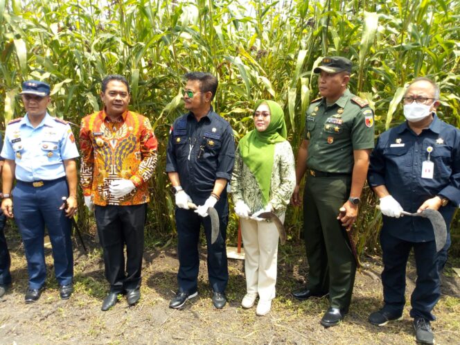
					Menteri Pertanian Syahrul Yasin Limpo (Ketiga dari kiri), didampingi Wakil Bupati Jombang, Sumrambah (kedua dari kiri) dan anggota DPR RI, Ema Umiyyatul Chusnah (keempat dari kiri) saat panen sorgum di Jombang, Kamis (15/9/2022). (Foto: SWARAJOMBANG.com/CR2)