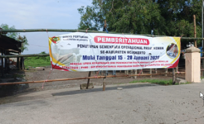 
					Sebanyak enam pasar hewan di Mojokerto ditutup sementara selama 14 hari, untuk menekan penyebaran penyakit mulut dan kaki (PMK) di Mojokerto. Foto: majalahnurani.com