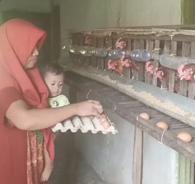 
					Foto: Istimewa 
Karsinah penerima bantuan berupa ayam petelur dari Hamba Allah.