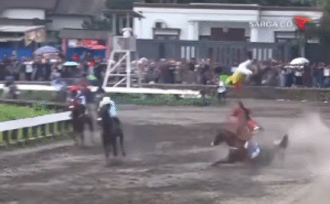 
					Joki Jones Paendong yang menunggangi kuda pacu Milord, terpelanting hingga beberapa meter, akibat ditarbak oleh kuda Salvador Minang, hingga kedua kuda itu tewas. Insiden terjadi saat final lomba pacru 1600 m Jateng Dewrby 2025, di Salatiga, Minggu 16 Februari 2025. Tangkap layar video Instagram@info_newsantara