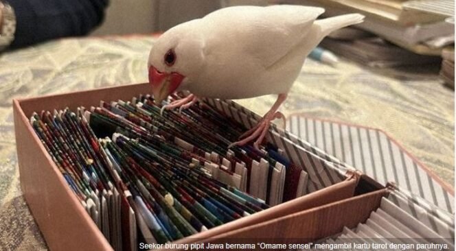 
					Untuk dapat diramal harus antre