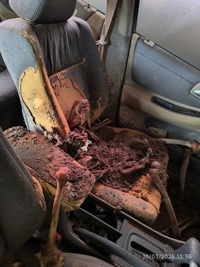 
					Foto; Istimewa
Kerangka manusia di dalam mobil yang lama parkir di halaman Mapolsek Ujungpangkah Gresik