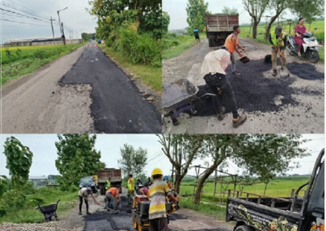 
					Dinas PUPR kabupaten Jombang, Rabu 19 Maret 2025, telah melakukan perbaikan jalan penmghubung antara Sumobito-Kesamben. Perbaikan ini sangat diperlukan, karena jalur tersebut sudah lama mengalami kerusakan. Instagram@wargajombang