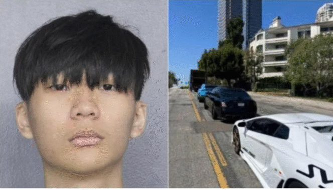 
					Seorang pemuda dari Singapura bernama  Malone Lam, 20,  dan mobil-mobil yang ia beli setelah diduga mencuri US$230 juta dalam bentuk mata uang kripto dari seorang korban di Washington. Foto: Kantor Sheriff Broward, dokumen pengadilan. 