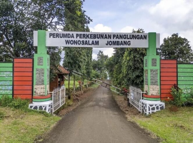 
					Pintu gerbang PDP Panglungan, Jombang (Foto: Istimewa)