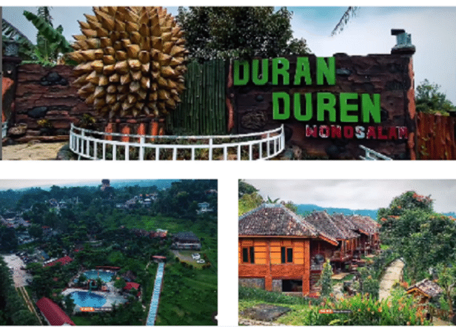 
					Inilah lokasi wisata alami bernama Duran Duren Wonosalam, kawasan yang sangat terkenal dengan buah duren di Jombang. Tangkap layar video Instagram@wargajombang