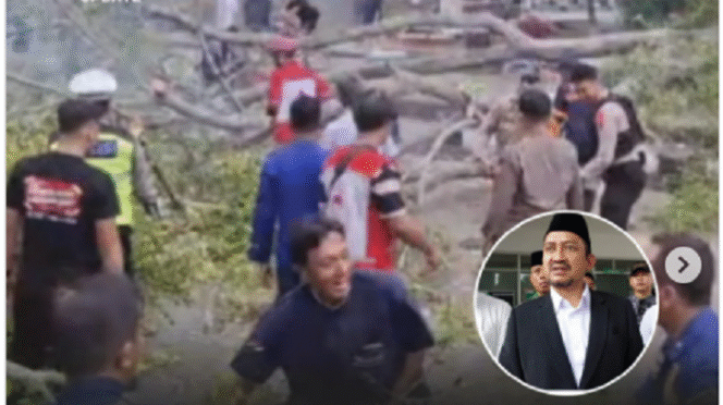 
					Insiden pohon beringin tumbang di alun-alun Pemalang, Jawa Tengah, ternyata terjadi tiga kali.  Pertama saat warga muslim menjalankan salat Id, pada tanggal 31 Maret 20225 pada jam 06.30 WIB. Disusul dua beringin tumbang lainnya ambruk pada jam 13.00 dan 13.30 wib. 
Instagram@pemalang.update