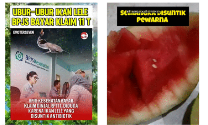
					Ikan lele yang disuntik antibiotik, sebagai terduga penyebab gagal ginjal bagi yang mengonsumsi. Demikian pula buah-buah yang disuntik pewarna Rhodamin juga bisa menjadi penyebab gagal ginjal. Tangkap layar Yotube@keluarga_bahagia/ evoterseven