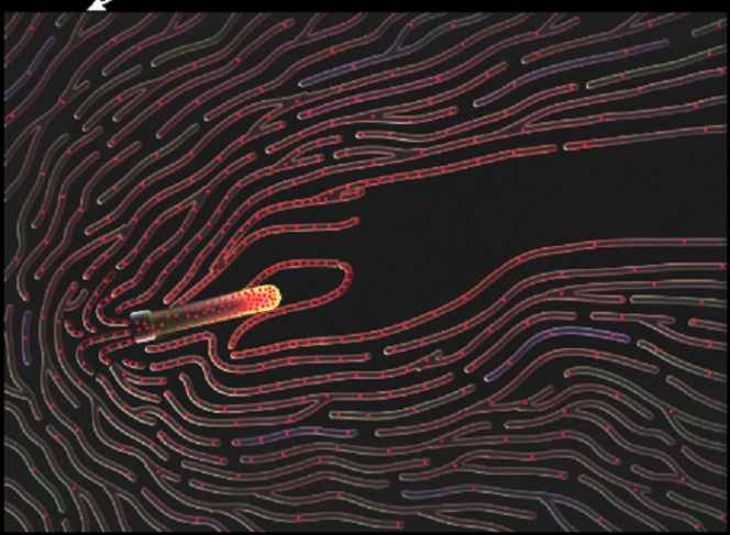 
					Ilustrasi darah buatan temuan profesor Jepang. Foto: newyorker.com