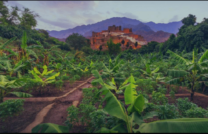 
					Ilustrasi penghijauan Arab Saudi. Saudi  Green Initiative Rorum 2024