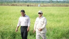 Menteri Pertanian (Mentan) Amran Sulaiman bersama Presiden Prabowo Subianto pada kunjungan kerja meninjau persawahan. Lahan PLP2B snagat startegis untuk tetap mampu mempertahankan swasembada pangan, khususnya padi. Foto: Ist