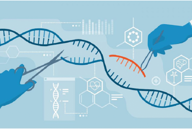 
					Ilmuwan menggunakan teknologi CRISPR (Clustered Regularly Interspaced Short Palindromic Repeats), yaitu rekayasa genetika mutakhir yang memungkinkan ilmuwan untuk mengedit DNA secara presisi, cepat, dan relatif murah. Termasuk memangkas HIV yang mendekam dalam DNA. Foto: zelenial.com