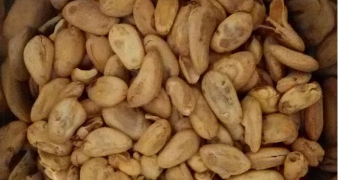 
					Banyak manfaat kesehatan