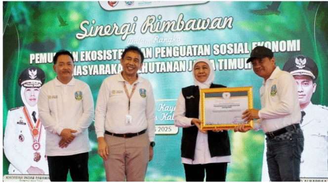 
					Sekdakab Jombang, Agus Purnomo menerima langsung piagam penghargaan dari Gurbernur Jatim, mewakili Bupati Jombang, untuk lingkungan hidup katagori pemulihan ekosistem. Penyerahan penghargaan dilaksanakan  di Mojokerto, Selasa, 22 Juli 2025. Foto: Diskominfo Jombang