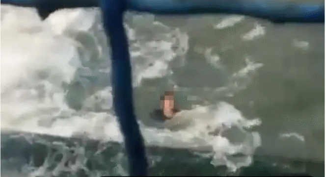 
					Tangkap layar video unggahan warga saat seorang pemuda adal Sidoarjo, nekat ceburkan diri di Dam Rolak 9, Mojokerto, terjadi sekitar pukul 15.15 WIB, Rabu 2 Juli 2025. Foto: Istimewa