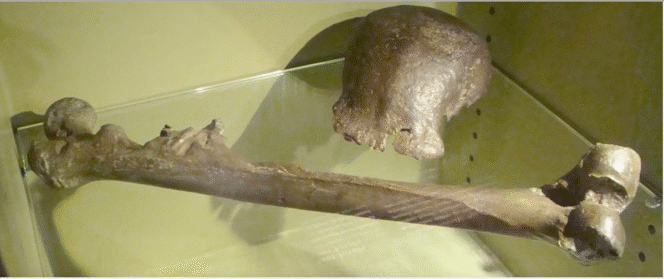 
					Presiden Prabowo Subianto mengatakan bahwa  Belanda sepakat mengembalikan sekitar 30.000 artefak, fosil. Kesepakatan ini dicapai dalam pertemuan Presiden Prabowo dengan Raja Willem-Alexander dan Ratu Máxima di Istana Huis ten Bosch, Den Haag, Belanda, pada 26 September 2025. Foto: Historia.id