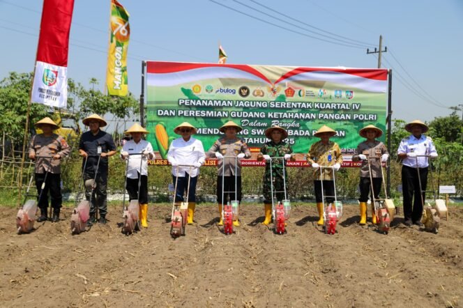 
					saat seremonial penanaman jagung serentak kuartal IV ketahanan pangan Polri guna mendukung swasembada pangan