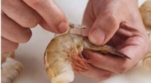 Garis hitam di punggung udang harus dibuang