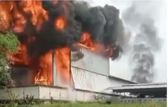 
					Terjadi kebakaran hebat melanda pabrik  triplek Margo Joyo Plywood di Dusun Karangharjo, Desa Karangharjo, Kecamatan Glenmore, Banyuwangi, Senin 27 Oktober 2025. Foto: block-a.com