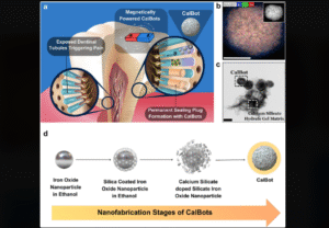 Ilmuwan India tengah mengembangkan nanorobot diberi nama CalBots, yang mampu memperbaiki tanpa campur tangan manusia. Foto: medicalxpress.com