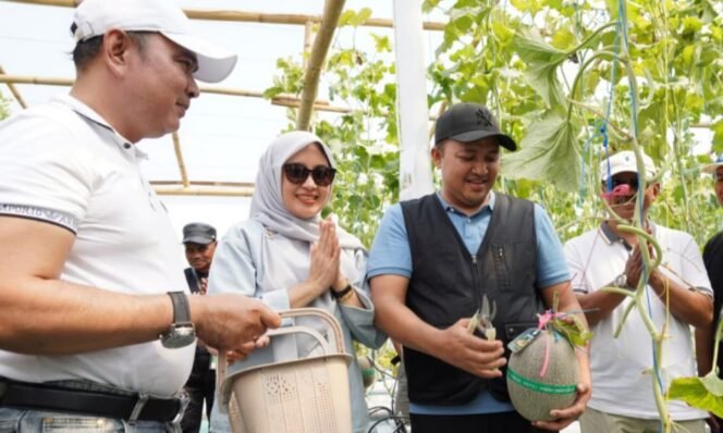 
					CREATOR: gd-jpeg v1.0 (using IJG JPEG v62), quality = 90?