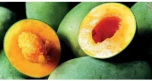 Buah yang kaya manfaat