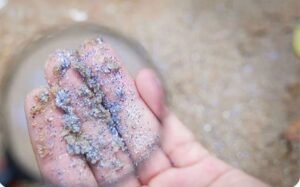 Mikroplastik ada di mana-mana