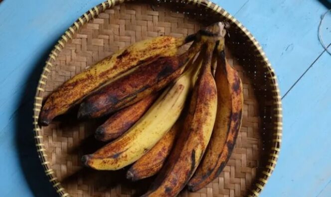
					Pisang tanduk punya kandungan prebiotik yang bagus