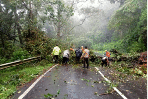 Terjadi pohon tumbang di jalur ke arah Cemorosewu,Magetan, dan telah diatasi oleh tim BPBBD, Polisi dan TNI, Sabtu, 15 November 2025, Pengguna jalan diminta wasapai kemungkinan tanah longsor. Foto: Bambang Tjuk Winarno