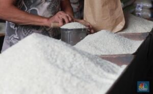 Harga beras stabil
