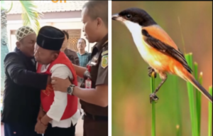 (Kiri) Masir meratapi nasibnya akibat mencuri lima ekor burung cdnert di kawasan Tman Nasional Balur, dia diadili, dengan ancaman hukuman 2 tahun penjara. Perkara kini diambil alih oleh Kejaksaan Tinggi Jawa Timur, kemudian tuntutan jaksa turun menjadi enam bulan penjara. Foto: Dok. swarajombang