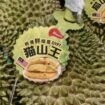 Ilustrasi durian ekspor