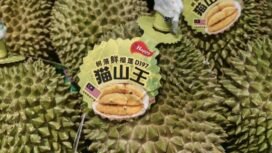 Ilustrasi durian ekspor