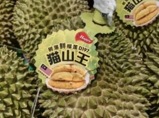 Ilustrasi durian ekspor