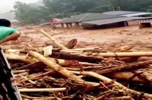 Kayu gelondong terbawa banjir