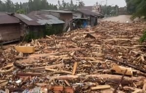 Penampakan ribuan kayu gelondongan yang terseret arus dari hulu ke hilir di bencana banjir Sumatra (Foto: Instagram/@infobandaaceh)