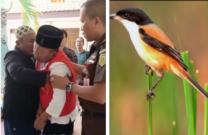 Kakek Munasir, 73, dipelukan saudaranya saat keluar dari sidang Pengadilan Negeri, Situbondo. Ia dituntut hukuman 2 tahun penjara, dalam sidang tuntutan Kamis, 11 Desember 2025. Foto: Kolase/instagram@situbondo_explore