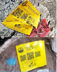 Bukti kayu itu legal ditebang dari hutan wilayah Sumetara Barat, diangkut kemudian terdampar di Pantai Lampung. Tampak stiker yang ditempel pada batang-batang kayu itu dari Kementrian Kehutanan. Foto: Insatgram@coachaddie.real