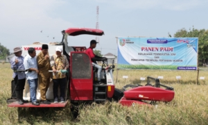 Pemerintah semula memberikan alat panen modern berupa combine harvester MAXXII Bimo 110 kepada gabungan kelompok tani (Gapoktan) Desa Sumbersari, Megaluh, Jombang. Namun sekarang alat tersenbut menghilang, didi=uga dijual oleh kades setempat kepada seorang warga dusun Panceng desa setempat. Foto: Ilustrasi/ elok apriyanto