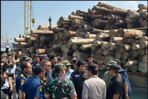 Pengungkapan kayu ilagal dari pembalakan hutan Sipora Mentawai sebanyak 4.610 m3, kini berada di pelabuhan Gresik, Jawa Timur, disita oleh Gakkum Kemenhut, dan dilimpahkan ke Kejaksaan untuk dibuatkan penuntutnan. Foto: antaranews.com