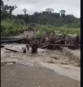 Jembatan utama putus total yang melintang di Sungai Pas, Distrik Keerom, Kabupaten Keerom, Papua, Rabu 17 Desember 2025. Didiga akibta pembabatan hutan di wilayah hulu, untuk penambangan emas secara ilegal. Foto: Instagram@hitamputih.daily
