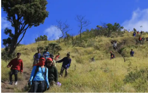 Tim realwan dari BTNMb dan SAR melakukan evakuasi jenasah Mella Irawanti Kusuma, 22, beasal dari Tanjung Redeb, Kaltim, yang tewas akibat disambar petir saat mendaki Gunung Merbabu, bersama kakaknya. Insiden terjadi sekitar pukul 11.00 WIB, Kamis 25 Desember 2025. Foto: Dok/ BTNMb