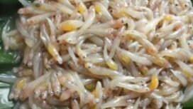 Ikan lempuk