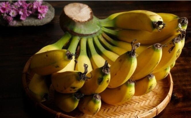 
					Pisang: Buah Tropis dengan Segudang Khasiat