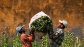 Industri tembakau butuh kepastian