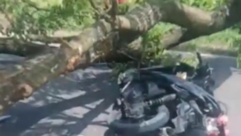 Seorang pengendara motor bernama Suhadi (58), warga Desa Sukorame, Pogalan, meninggal dunia akibat tertimpa dahan pohon mahoni di Kecamatan Gandusari. Insiden terjadi, saat Trenggalek diguyur hujan deras dan angin kencang, Sabtu 24 Januari 2026. Foto: Ist