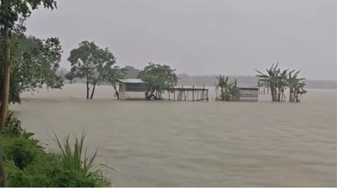 
					Sekitar 10 ha sawah petani di desa Gedongombo, Ploso, Jombang, berubah menjadi lautan, terendam banjir akibat hujan lebat. Foto: swarajombang.com/elok apriyanto